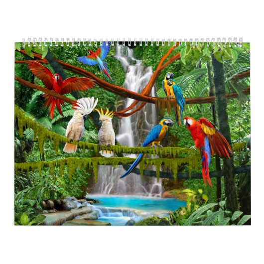 KALENDER VOGELS #1 (Hoes)