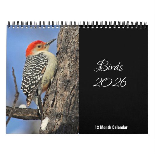 Kalender Vogels 2026 (Hoes)