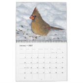 Kalender Vogels 2026 (Jan 2027)