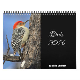 Kalender Vogels 2026