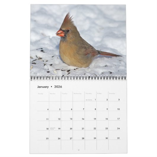 Kalender Vogels 2026 (Jan 2026)