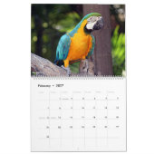 Kalender Vogels 2026 (Feb 2027)