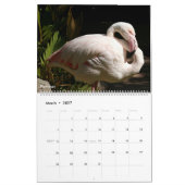 Kalender Vogels 2026 (Mar 2027)