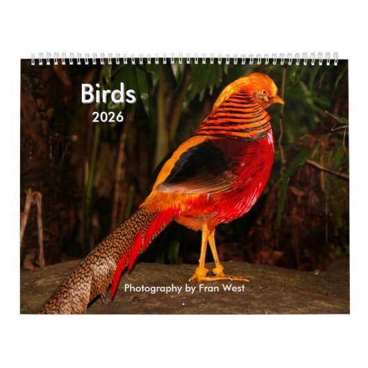 Kalender Vogels 2026 (Hoes)