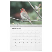 Kalender - Vogels en vlinders (Feb 2027)