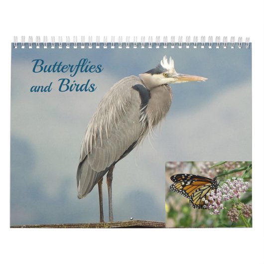 Kalender - Vogels en vlinders (Hoes)