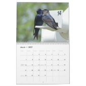 Kalender - Vogels en vlinders (Mar 2027)