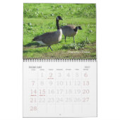 Kalender - vogels (grote datums) (Feb 2027)