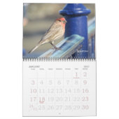 Kalender - vogels (grote datums) (Jan 2027)