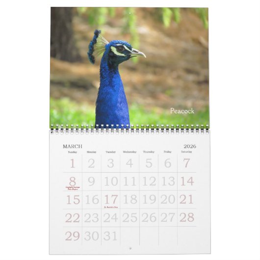 Kalender - vogels (grote datums) (Mar 2026)