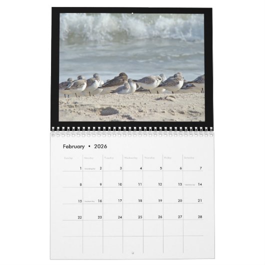 Kalender - Vogels op de strand (Feb 2026)