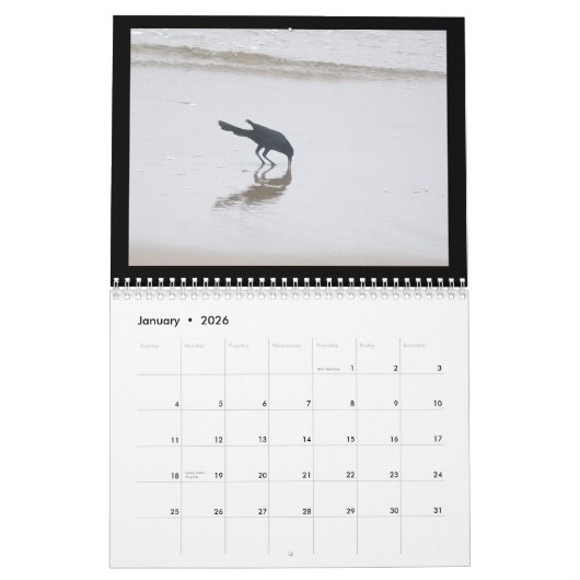 Kalender - Vogels op de strand (Jan 2026)
