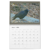 Kalender - vogels van de Perkiomen-vallei (Mar 2026)