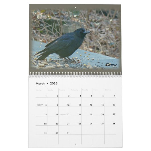 Kalender - vogels van de Perkiomen-vallei (Mar 2026)