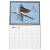 Kalender - vogels van de Perkiomen-vallei (Feb 2026)