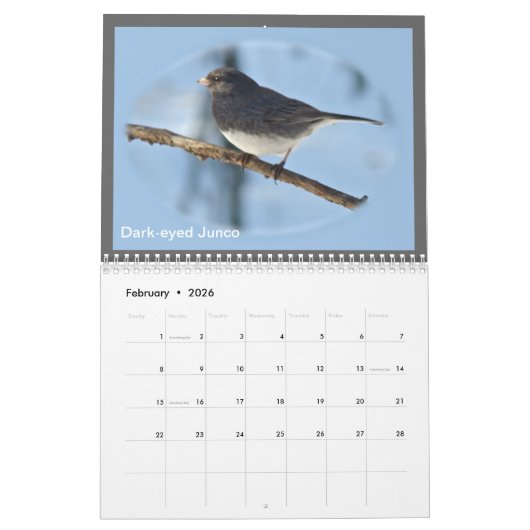 Kalender - vogels van de Perkiomen-vallei (Feb 2026)