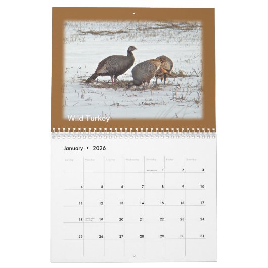 Kalender - vogels van de Perkiomen-vallei (Jan 2026)