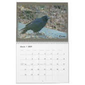 Kalender - vogels van de Perkiomen-vallei (Mar 2027)