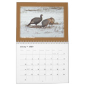Kalender - vogels van de Perkiomen-vallei (Jan 2027)