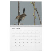 Kalender - vogels van Noord-Amerika