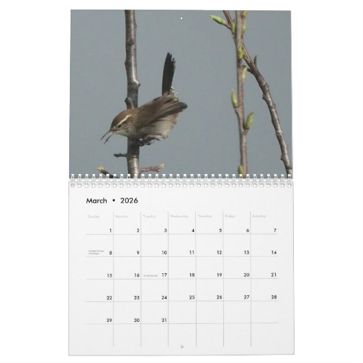 Kalender - vogels van Noord-Amerika