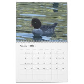 Kalender - vogels van Noord-Amerika