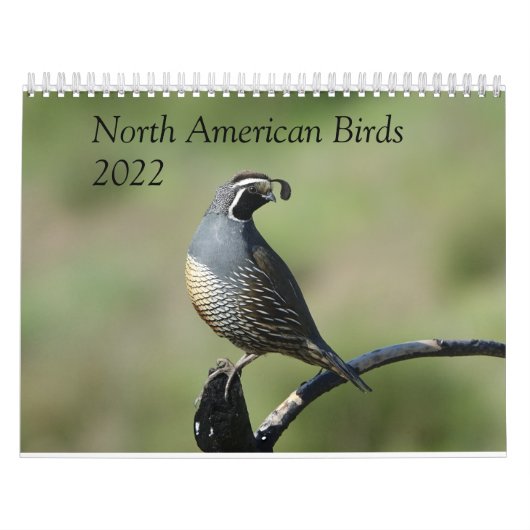 Kalender - vogels van Noord-Amerika