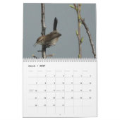 Kalender - vogels van Noord-Amerika (Mar 2027)