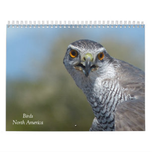 Kalender - vogels van Noord-Amerika
