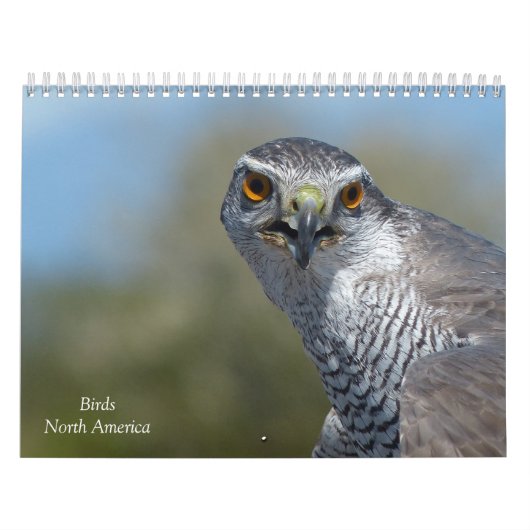 Kalender - vogels van Noord-Amerika (Hoes)