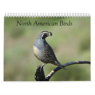 Kalender - vogels van Noord-Amerika