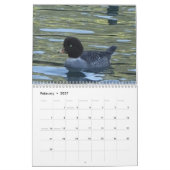 Kalender - vogels van Noord-Amerika (Feb 2027)