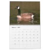 Kalender - vogels voor nieuwjaar (Feb 2027)