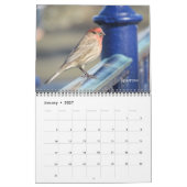 Kalender - vogels voor nieuwjaar (Jan 2027)