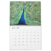Kalender - vogels voor nieuwjaar (Mar 2027)