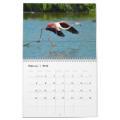 Kalender voor 12 maanden Flamingos (Feb 2026)