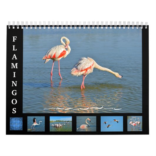 Kalender voor 12 maanden Flamingos (Hoes)