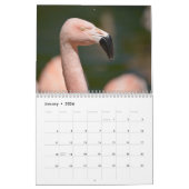 Kalender voor 12 maanden Flamingos (Jan 2026)