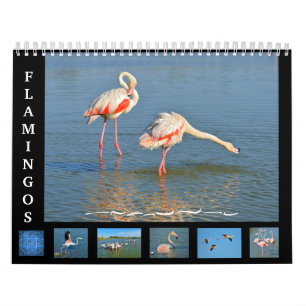 Kalender voor 12 maanden Flamingos