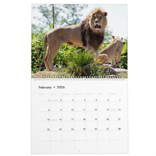 Kalender voor 12 maanden Leeuwenfamilie (Feb 2026)