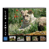 Kalender voor 12 maanden Leeuwenfamilie (Hoes)