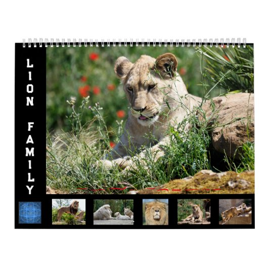 Kalender voor 12 maanden Leeuwenfamilie (Hoes)