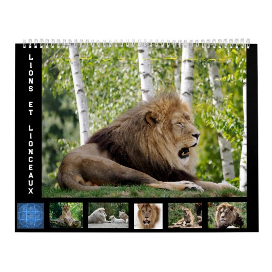 Kalender voor 12 maanden Leeuwenfamilie (Hoes)