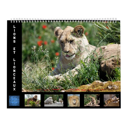 Kalender voor 12 maanden Leeuwenfamilie (Hoes)