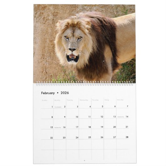Kalender voor 12 maanden Leeuwenfamilie (Feb 2026)