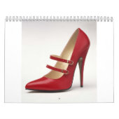 Kalender voor 2009 (Hoes)