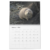 Kalender voor 2010 voor het vervoer van dieren (Feb 2026)
