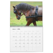 Kalender voor 2011 betreffende bedreigde rassen (Mar 2026)
