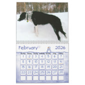 Kalender voor 2011 van de Grens Collie (Feb 2026)