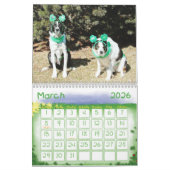 Kalender voor 2011 van de Grens Collie (Mar 2026)